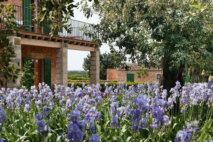 Casa Rural Son Bernadinet Campos  Dış mekan fotoğraf